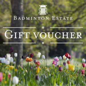 Gift Voucher