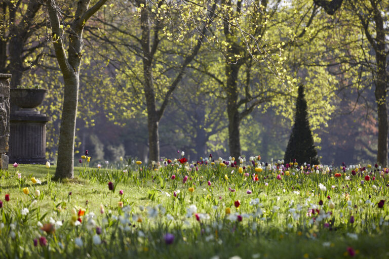 Spectacular Spring Event Badminton Estate A Legacy Rooted in Tradition